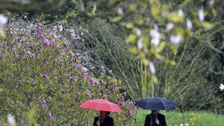 Снимка: Reuters, архив