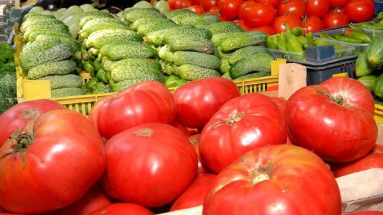 Снимка: Булфото, архив