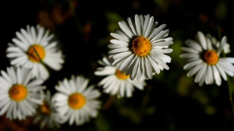 Снимка: Reuters, архив