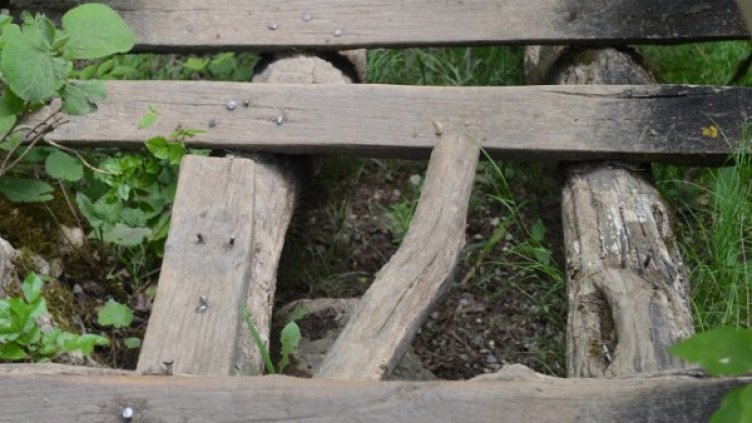 Снимка: Сдружение "Зелени инициативи"