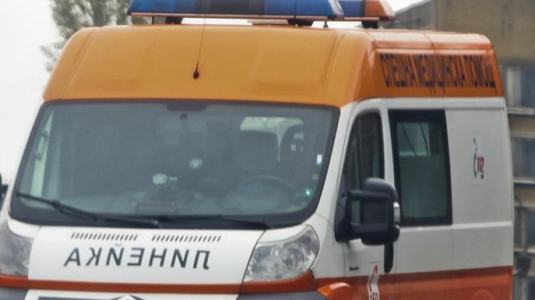 Снимка: Архив, Булфото