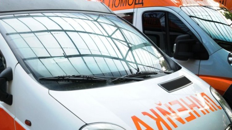 Снимка: архив Булфото