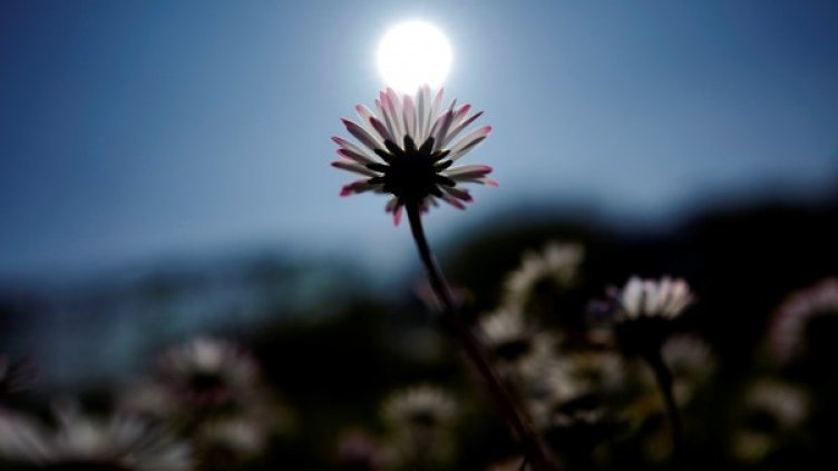 Снимка: Архив, Reuters