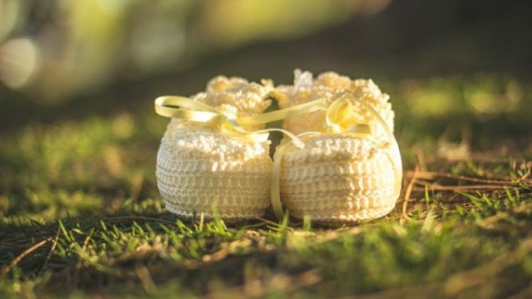 Снимка: pixabey