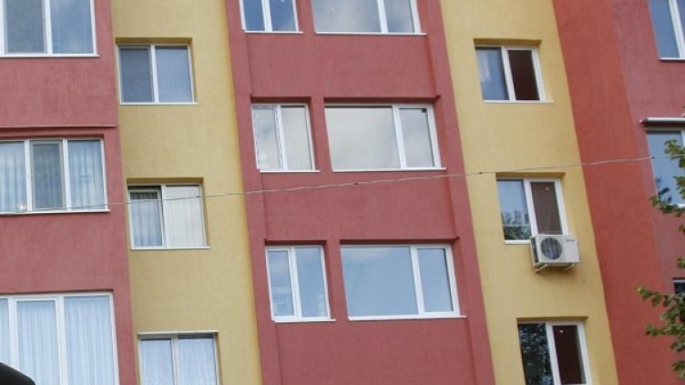 Снимка: Булфото