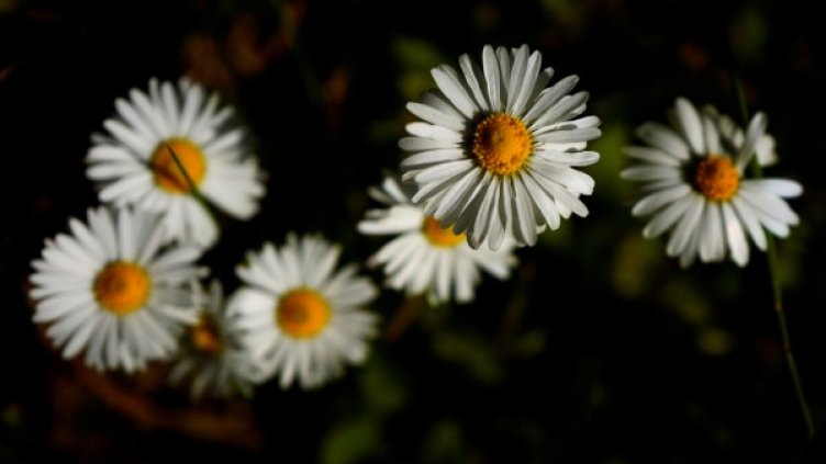 Снимка: архив, Reuters