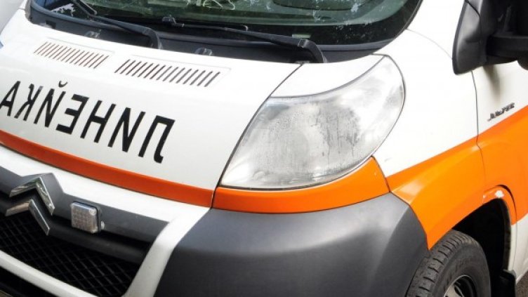 Архив: Булфото