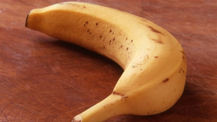 Снимка: freeimages