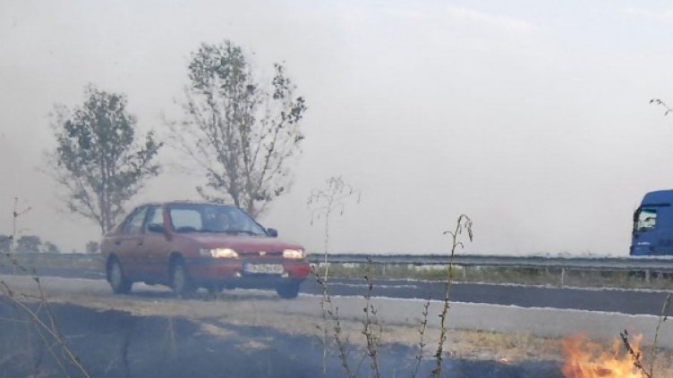 Снимка: архив, Булфото