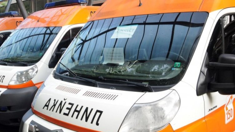 Снимка: Булфото