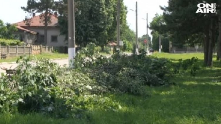 Снимка: Bulgaria ON AIR