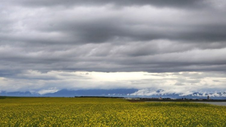 Снимка: Архив, Reuters