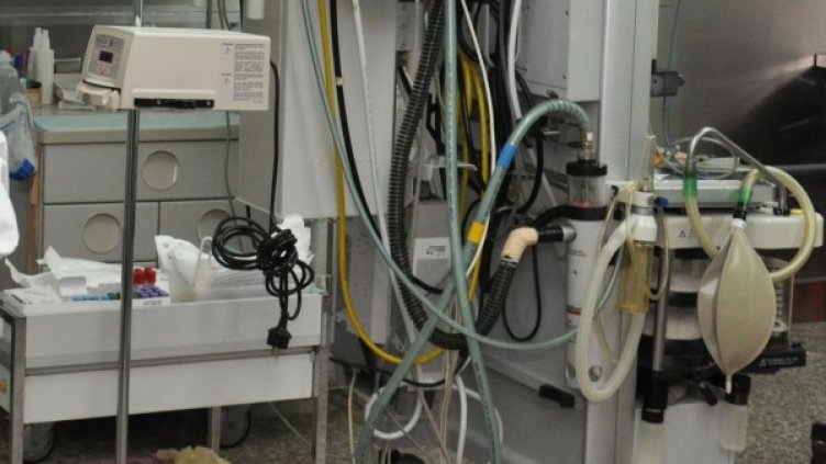 Снимка: архив, БулФото