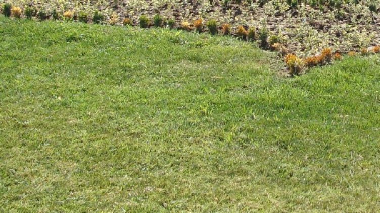 Снимка: Архив, Булфото