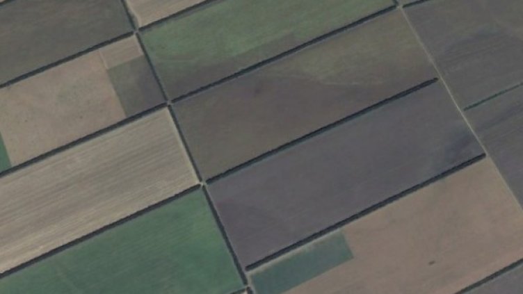 Полезащитни пояси в с. Соколово, община Балчик. Снимка: Google Earth