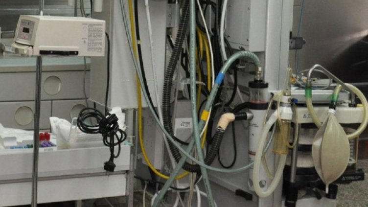 Снимка: архив, БулФото