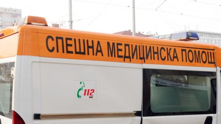 Снимка: Булфото