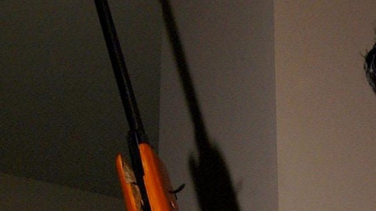 Архив: Булфото