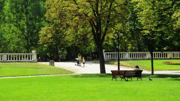 Снимка: архив, БулФото