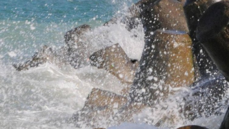 Снимка: Булфото, архив