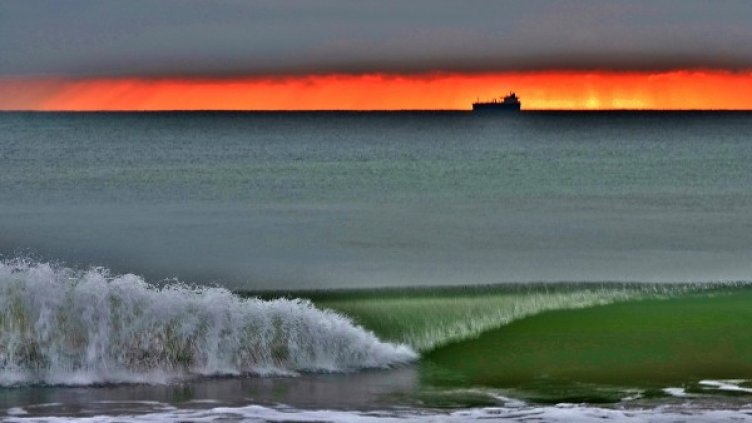 Снимка: Veselin Yanchev photography