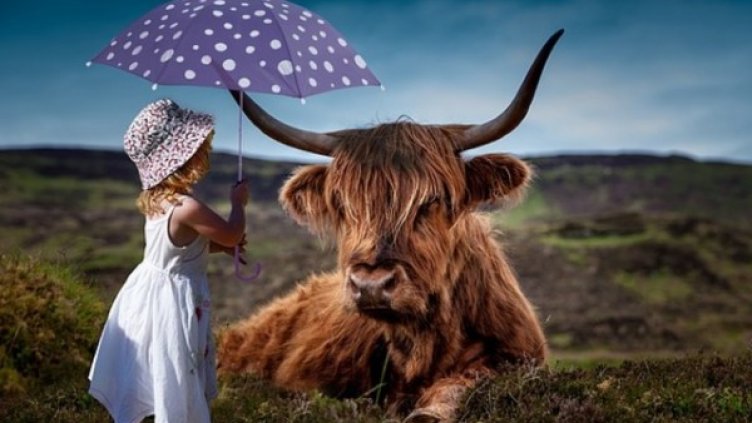 Снимка: pixabey