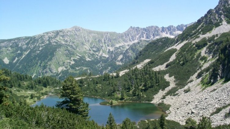 Снимка: архив, Булфото