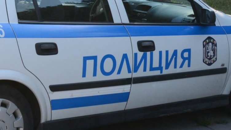 Снимка: Архив, Булфото