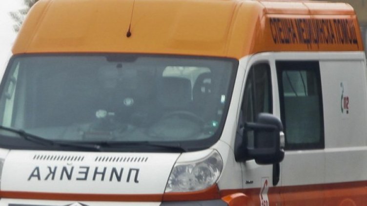 Снимка: Архив, Булфото