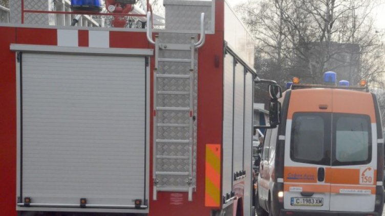 Снимка: архив, Булфото