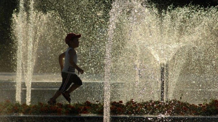 Снимка: архив "Булфото"