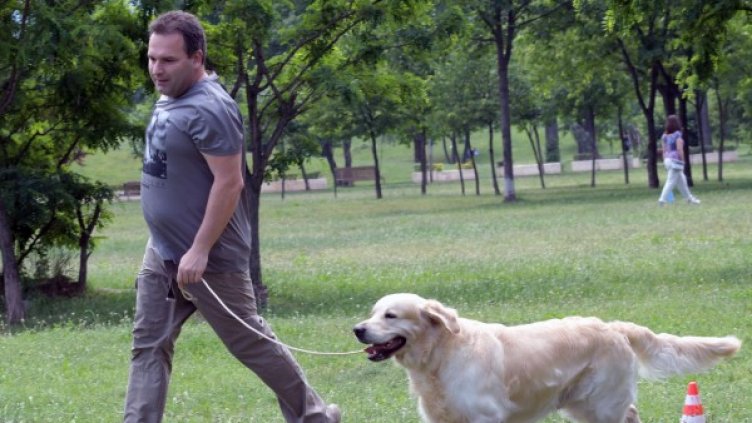 Снимка: Булфото, архив