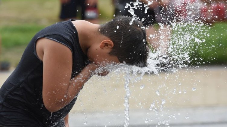 Снимка: Булфото, архив