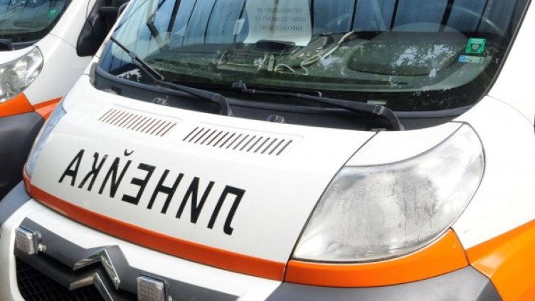 Снимка: архив Булфото