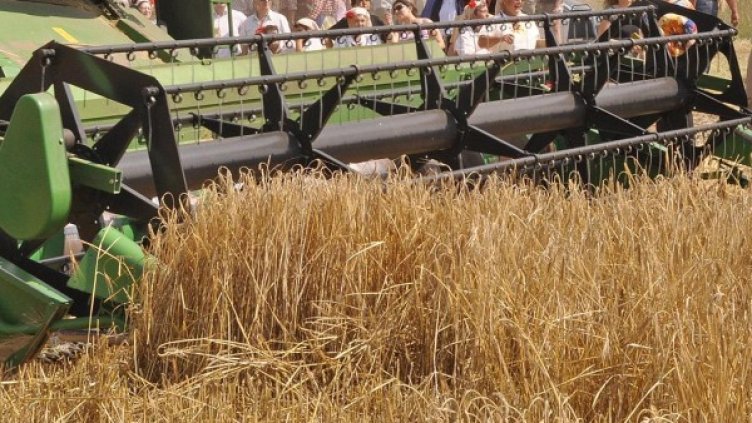 Снимка: Булфото, архив