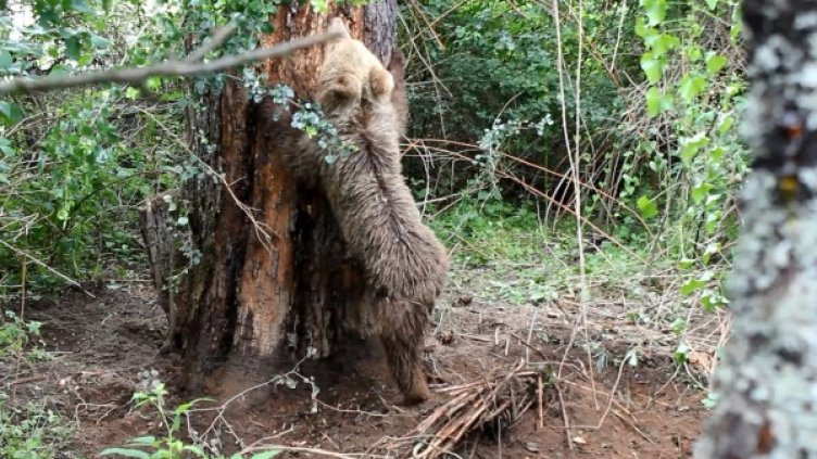 Снимка: Dnes.bg