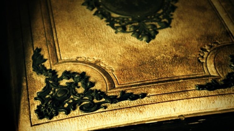 Снимка: pixabay