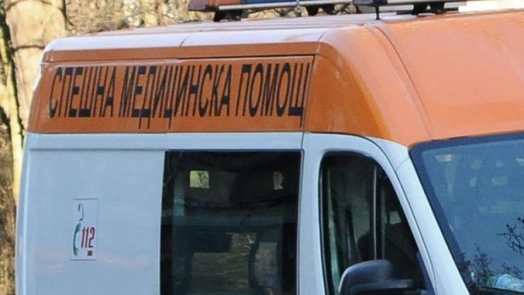 Снимка: Булфото, архив