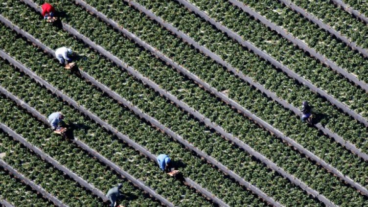 Снимка: архив, Reuters