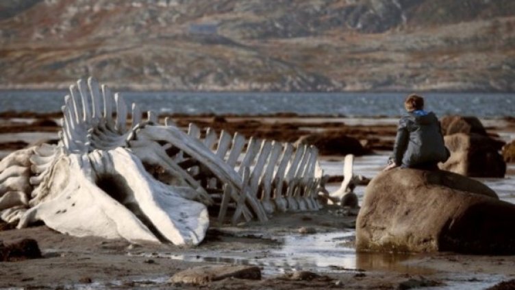 Снимка: Bulgaria ON AIR