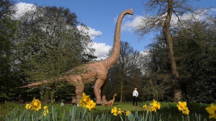 Снимка: Reuters