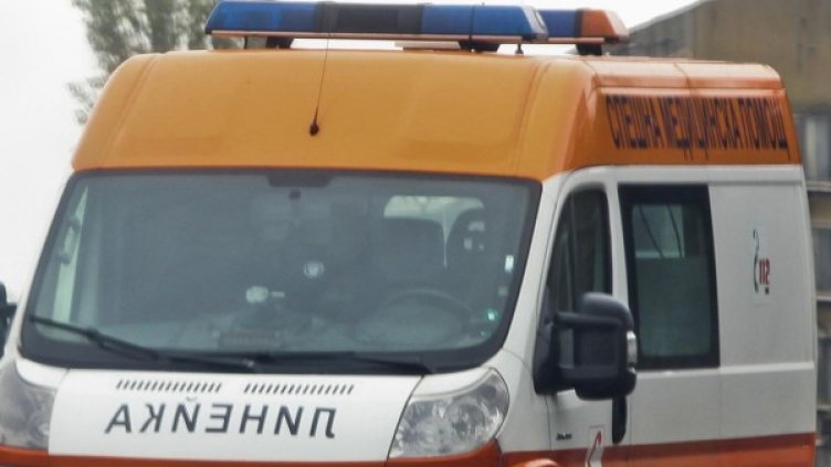 Снимка: Архив, Булфото