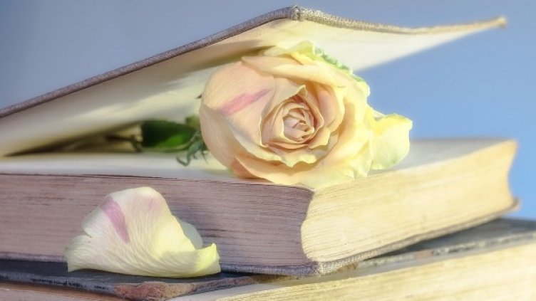 Снимка: pixabay