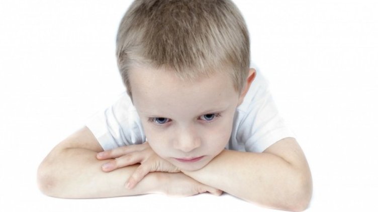 Снимка: pixabay