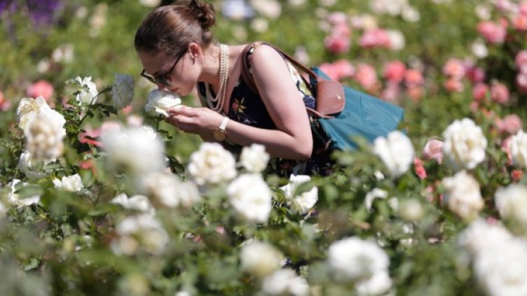 Снимка: архив, Reuters