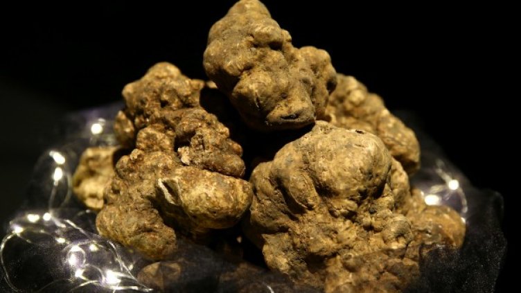 Снимка: архив, Reuters