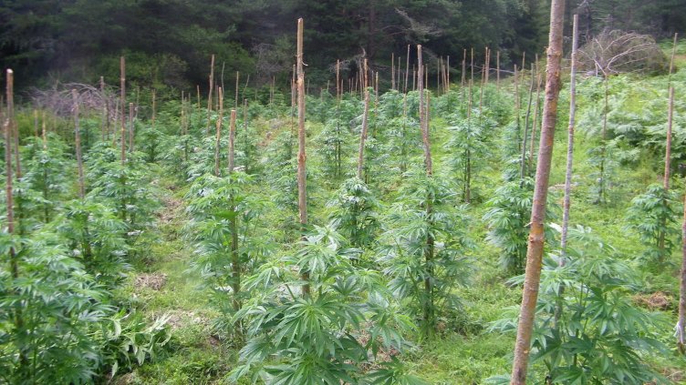 Снимка: архив, Гранична полиция