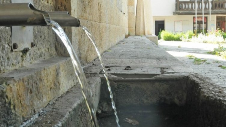 Снимка: архив Булфото