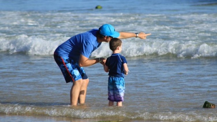 Снимка: pixabay