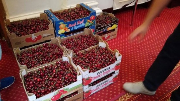 Снимка: Dnes.bg, архив